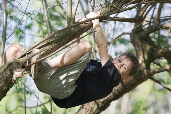 A Case for Climbing Trees