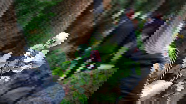 COVID-19 Complicates Grieving