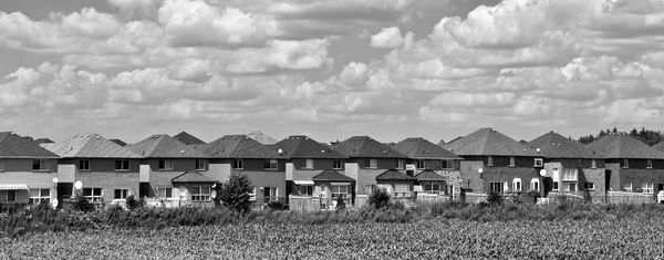 Family and The Vanishing Neighbor