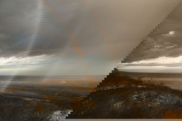 More Marriage, Less COVID: How Communities With More Marriage Are Weathering the Storm