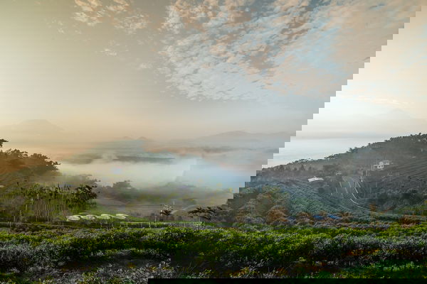 Single-Parent Families in Taiwan