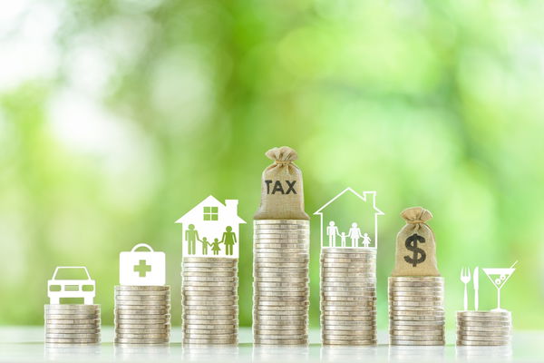 Family Provisions in the Ways and Means Tax Package